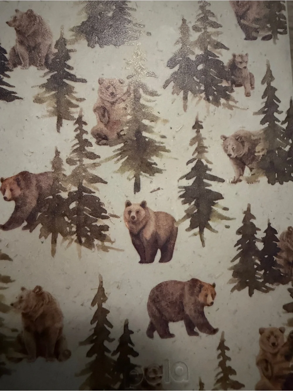 PELA Bear iPhone 16 ProMax Case